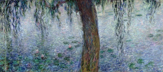 Seerosen: Morgen mit Trauerweiden (Detail), 1915-26